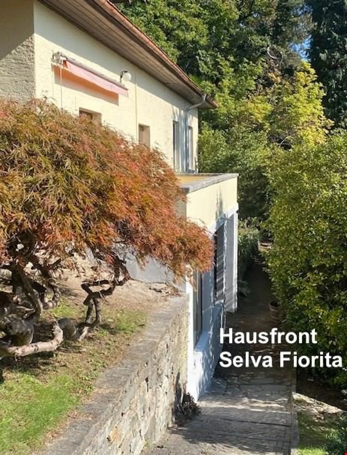 House in the Blooming Forest - Photo 4 of 13
