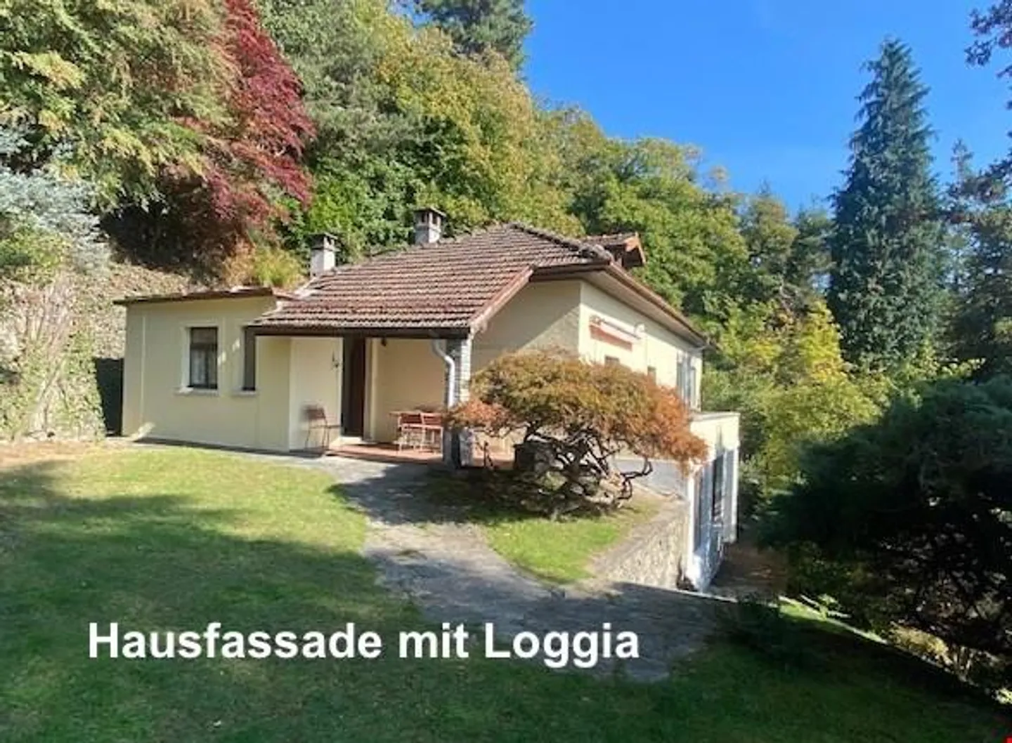 House in the Blooming Forest - Photo 1 of 13