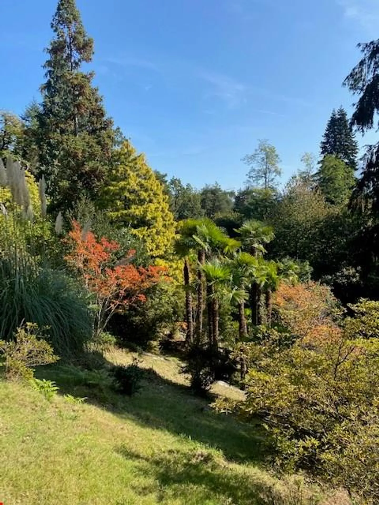 House in the Blooming Forest - Photo 7 of 13