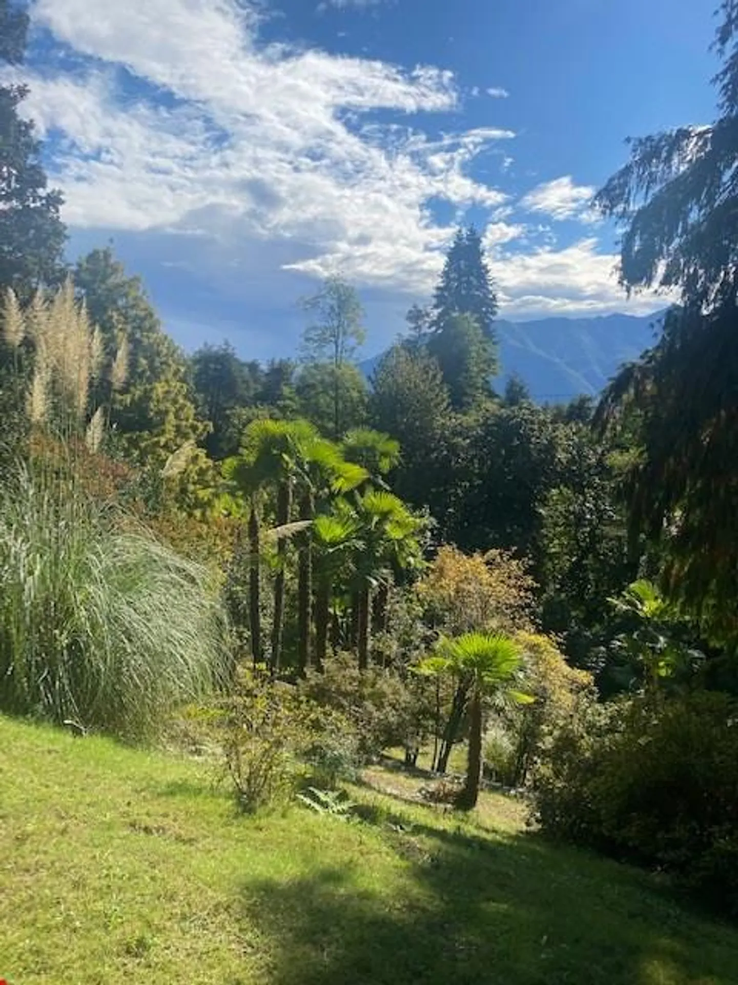 House in the Blooming Forest - Photo 8 of 13