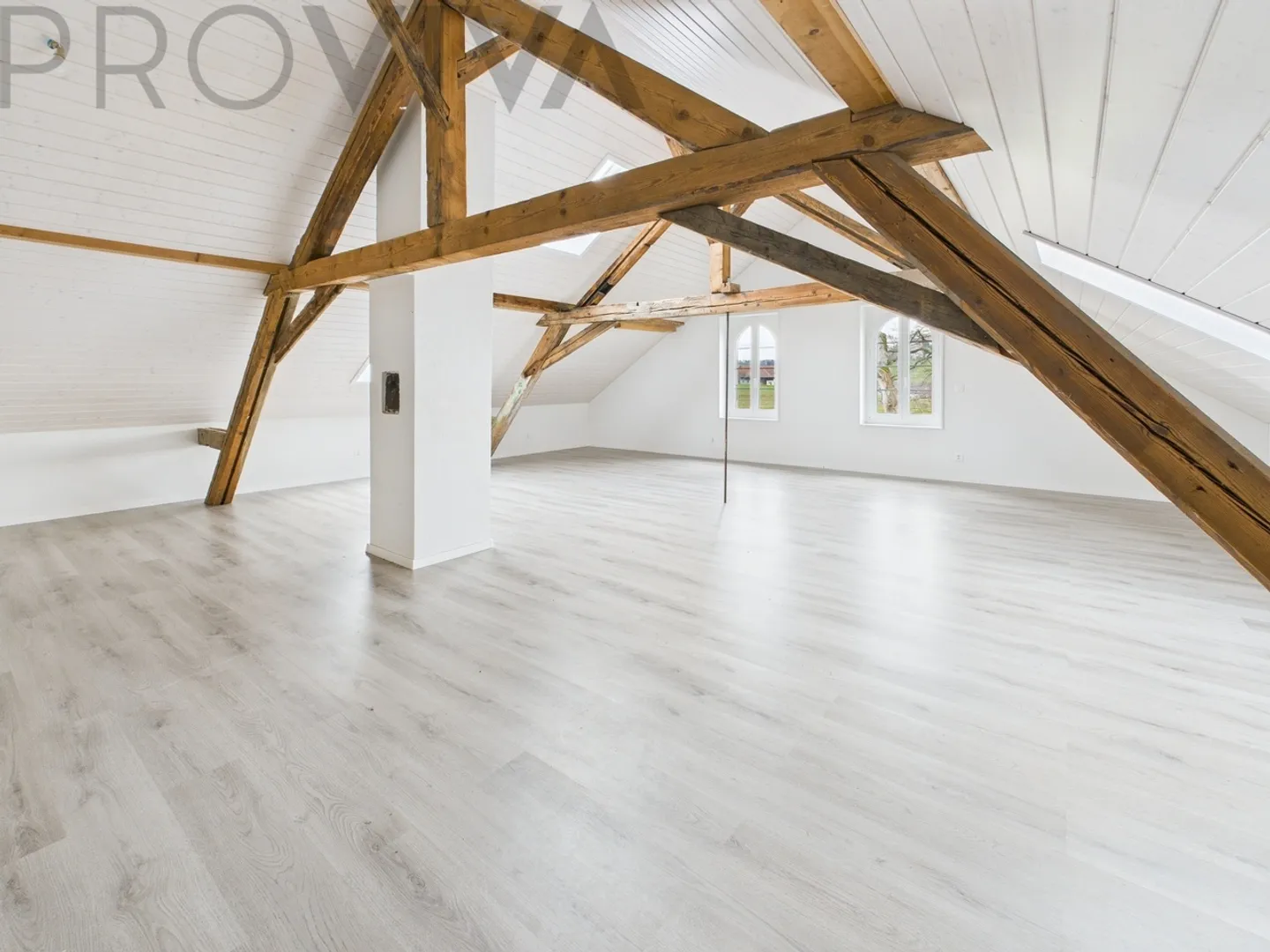 Manor House with Barn and Large Land - Photo 5 of 6