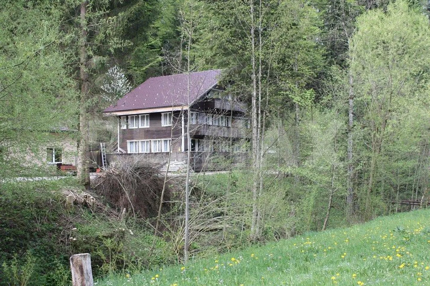 Natura pura! Casa a 3 famiglie, proprietà commerciale inclusa parcella forestale su 11.000 m2 - Foto 4 di 12
