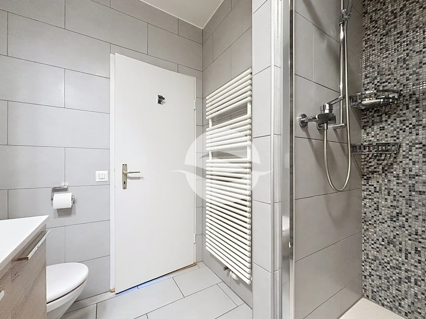 Appartamento 6 stanze fiorito e magnifico vicino a Ecolint - Foto 8 di 13