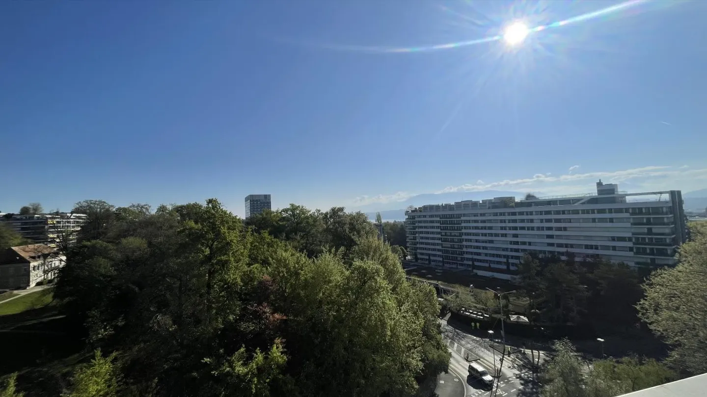 Magnifique appartement 3 pièces avec terrasse, près des organisations internationales - Photo 7 sur 10