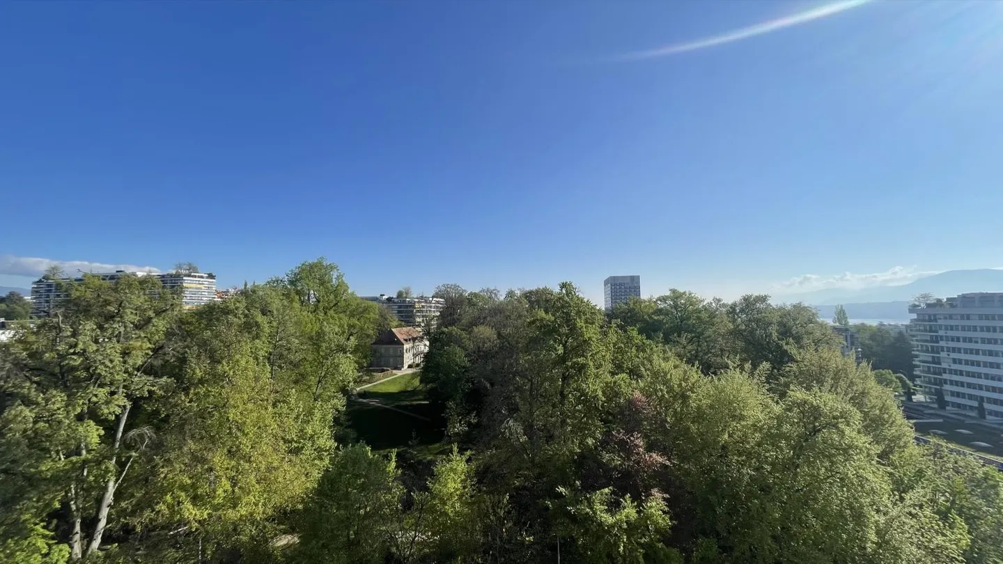 Magnifique appartement 3 pièces avec terrasse, près des organisations internationales - Photo 8 sur 10