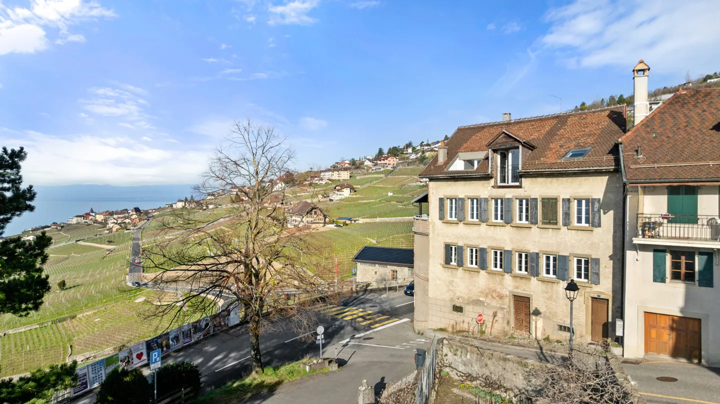 Außergewöhnliches Gebäude mit 3 Wohnungen und Panoramablick, Lavaux - Foto 2 von 26