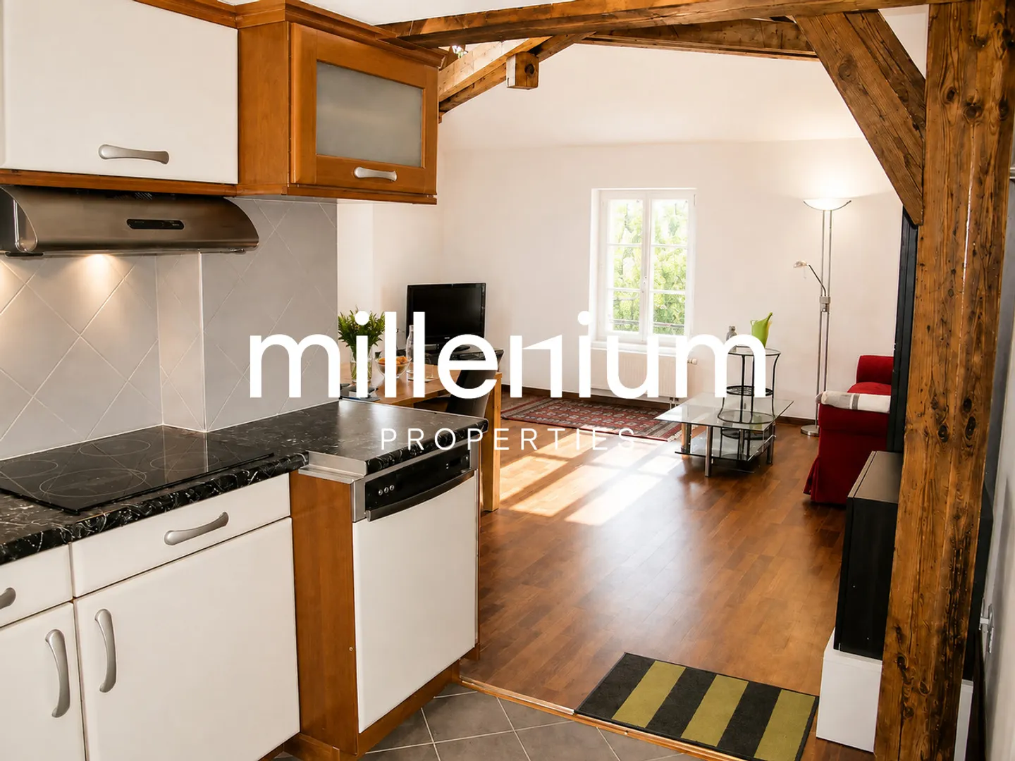 Furnished 2-room apartment with terrace in Petit Lancy. - Photo 4 of 11