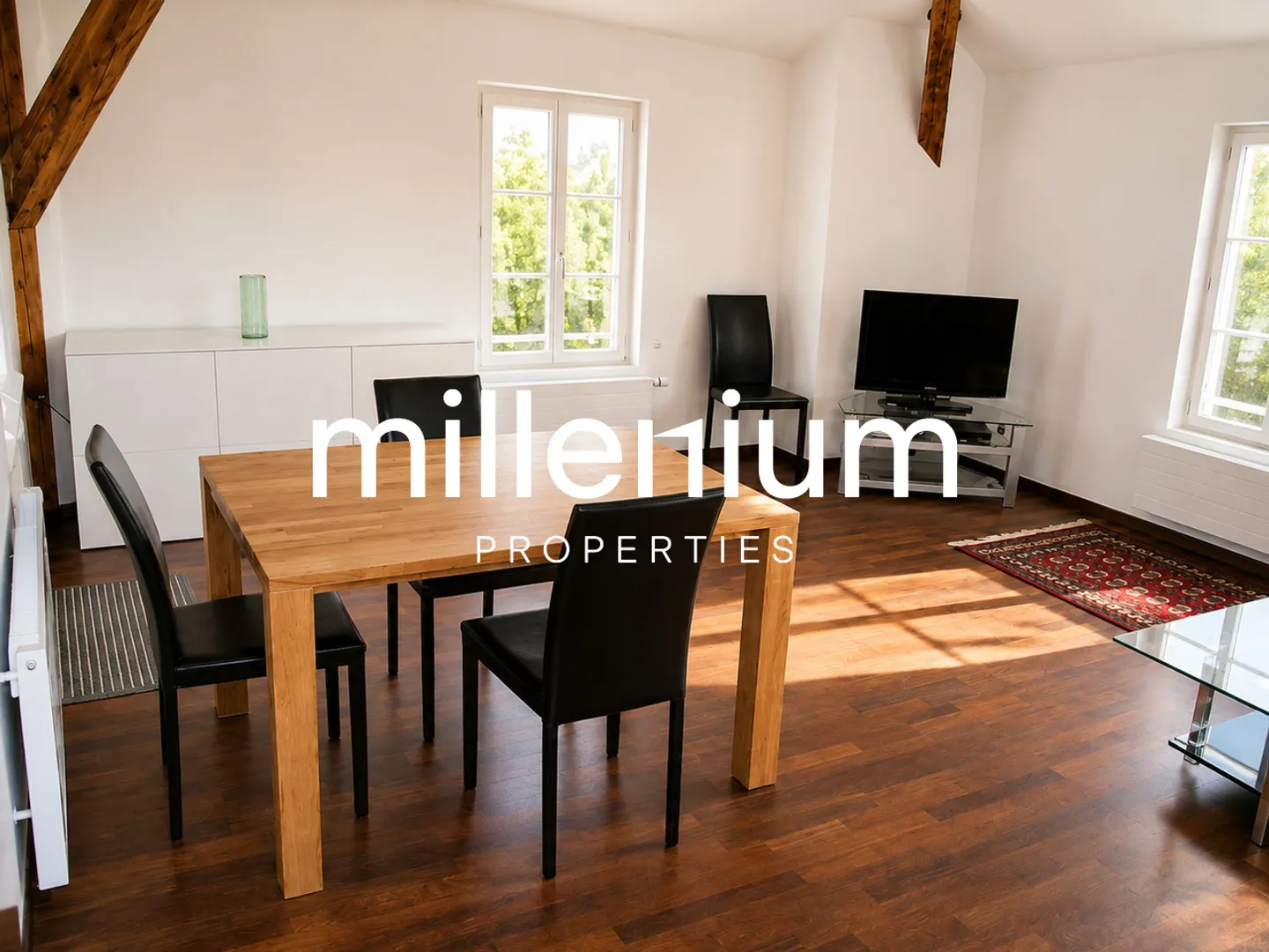 Furnished 2-room apartment with terrace in Petit Lancy. - Photo 9 of 11
