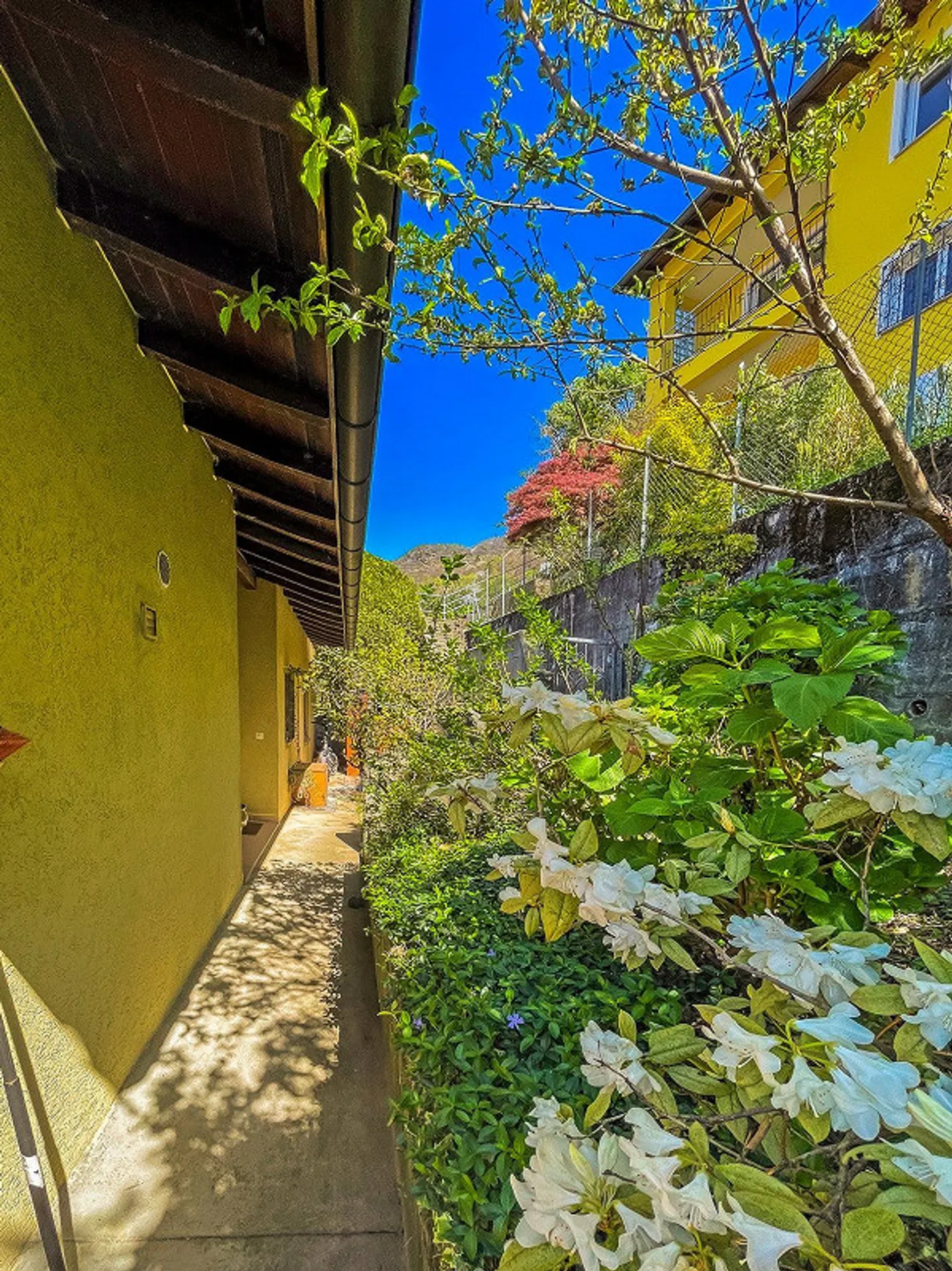 Grande casa unifamiliare con giardino e vista sui castelli di Bellinzona - Foto 6 di 13