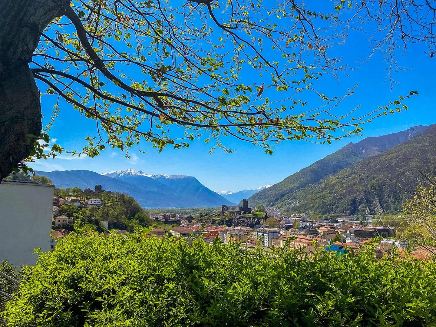 Grande casa unifamiliare con giardino e vista sui castelli di Bellinzona - Foto 1 di 13