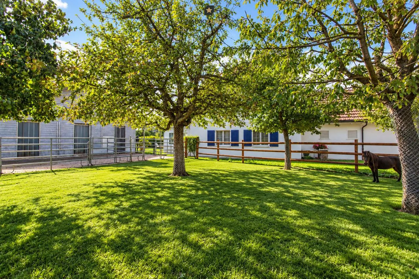 Your dream of country living: Exclusive country house with horse stable & space. - Photo 6 of 9