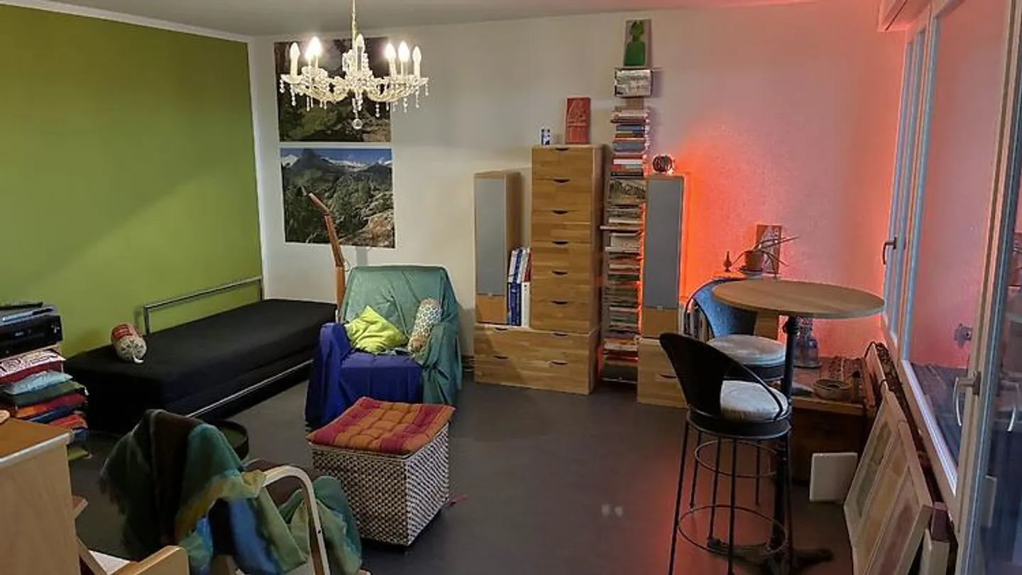 2½ ROOM APARTMENT IN ZURICH - DISTRICT 4 HARD, FURNISHED, TEMPORARY - Photo 4 of 10