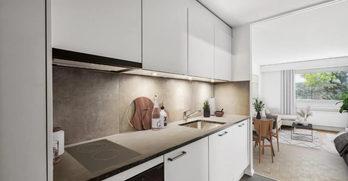 Magnificent renovated 1-room apartment FREE DEPOSIT - Photo 1 of 4
