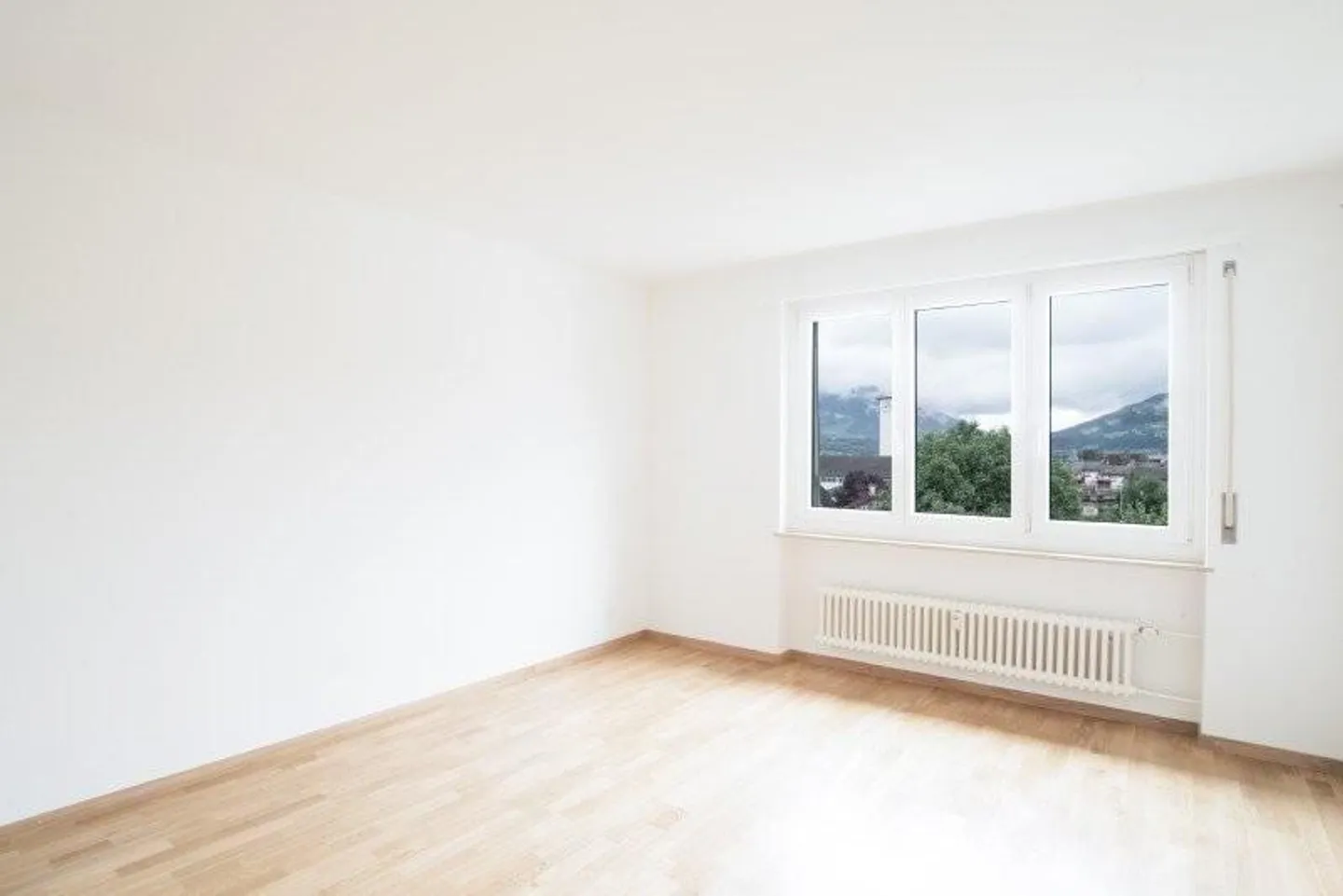 Living in the Green with a View of the Mythen - Photo 3 of 8