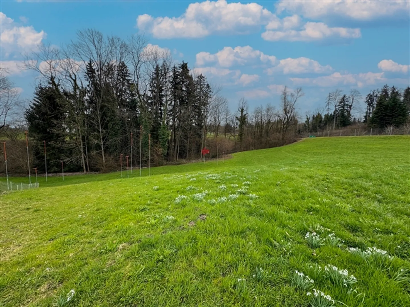 «Attraktive Baulandparzelle mit Nähe zu St. Gallen» - Foto 1 von 3