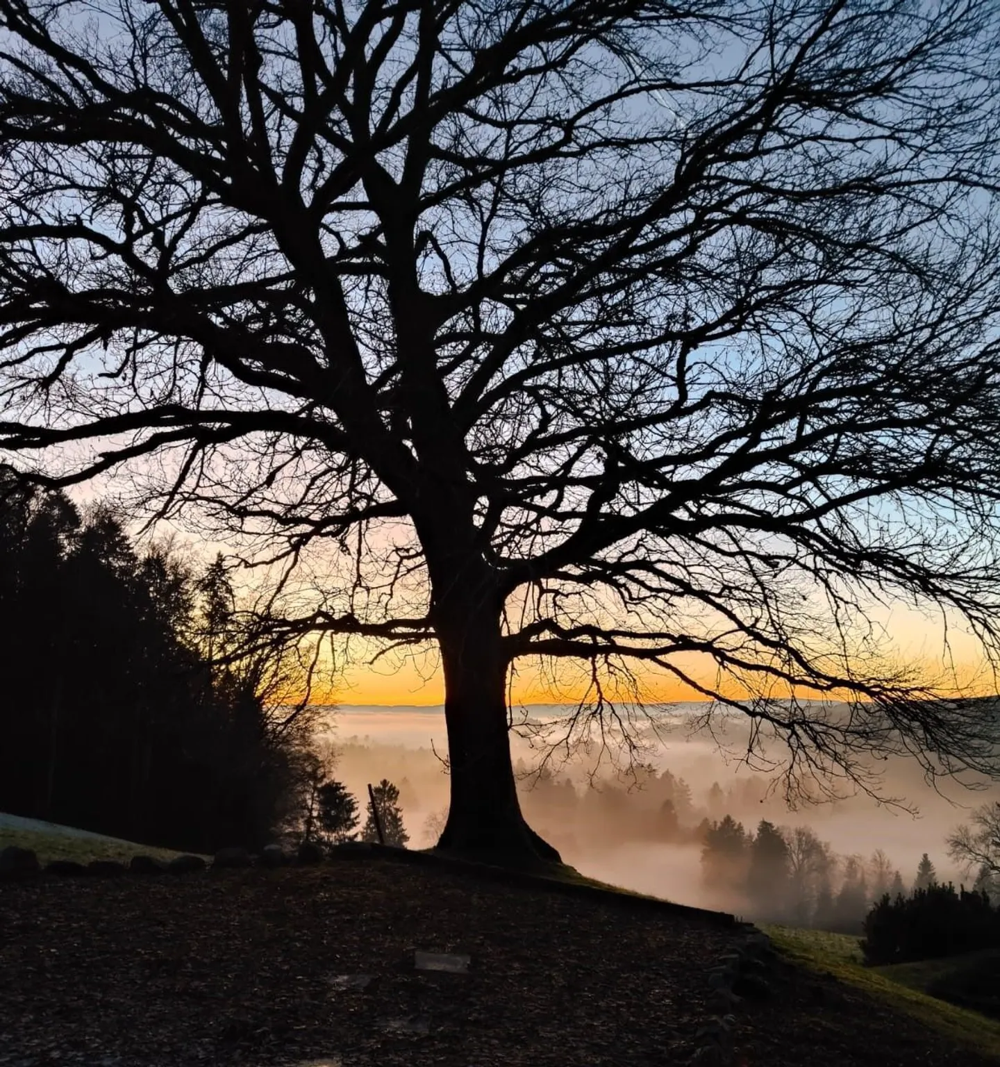 Außergewöhnliches Landhaus - Foto 9 von 12