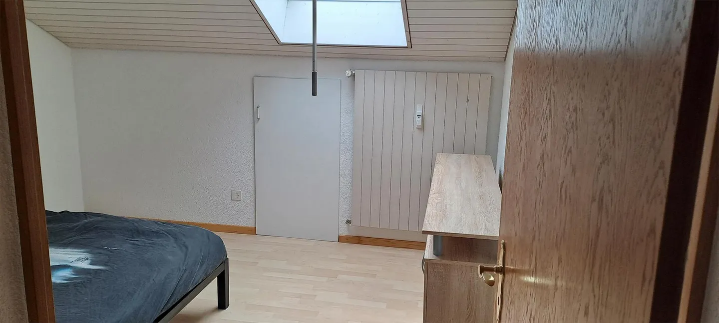 Cozy Attic Apartment - Photo 6 of 7