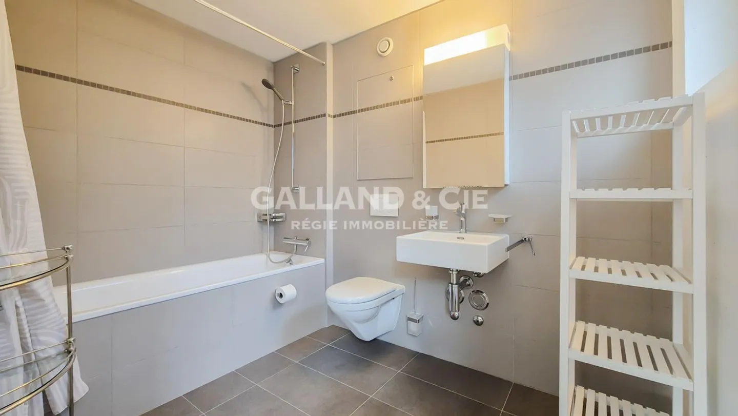 2.5 room duplex - Photo 4 of 8