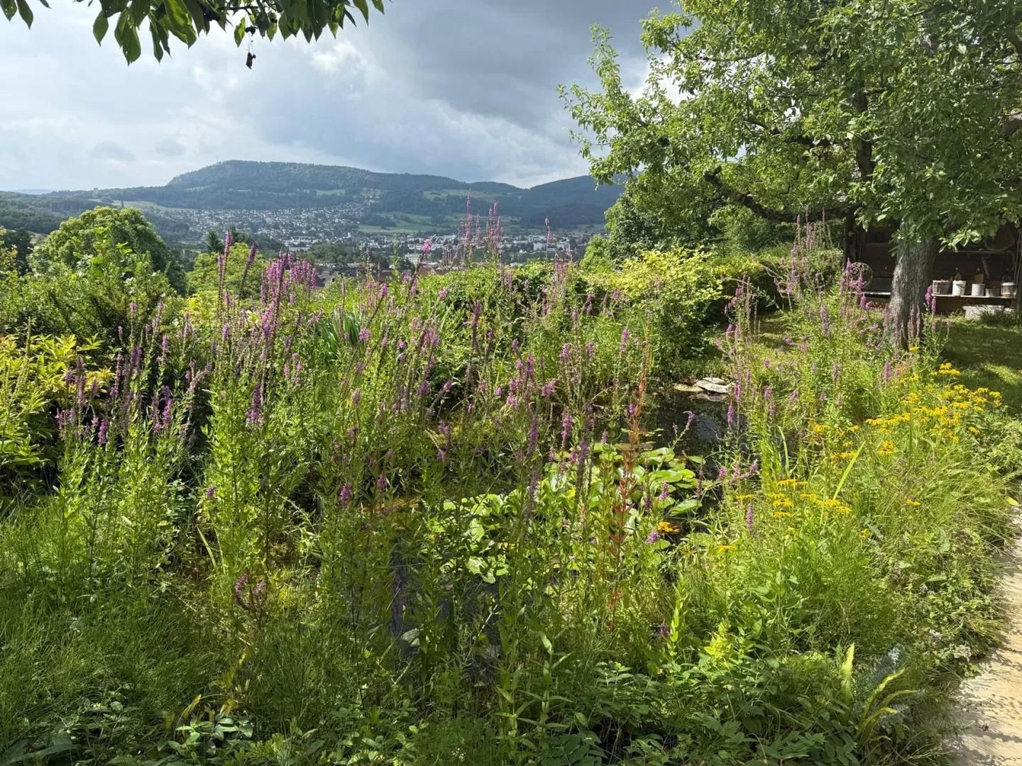 Maison individuelle avec garage double couvert et concept d'utilisation flexible - Photo 20 sur 24