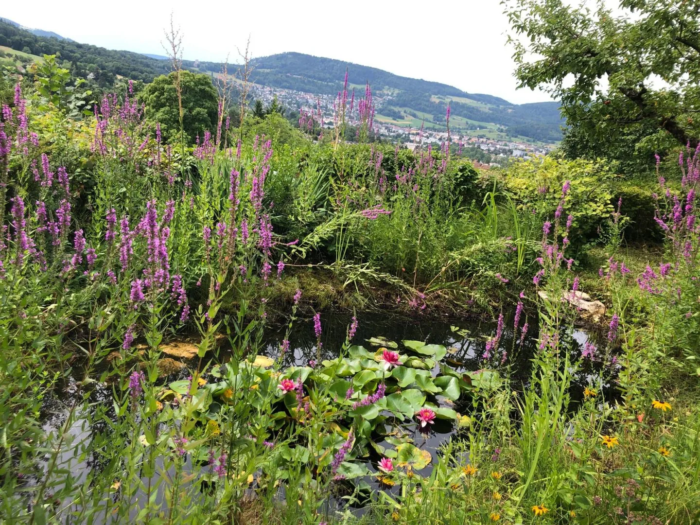 Maison individuelle avec garage double couvert et concept d'utilisation flexible - Photo 21 sur 24