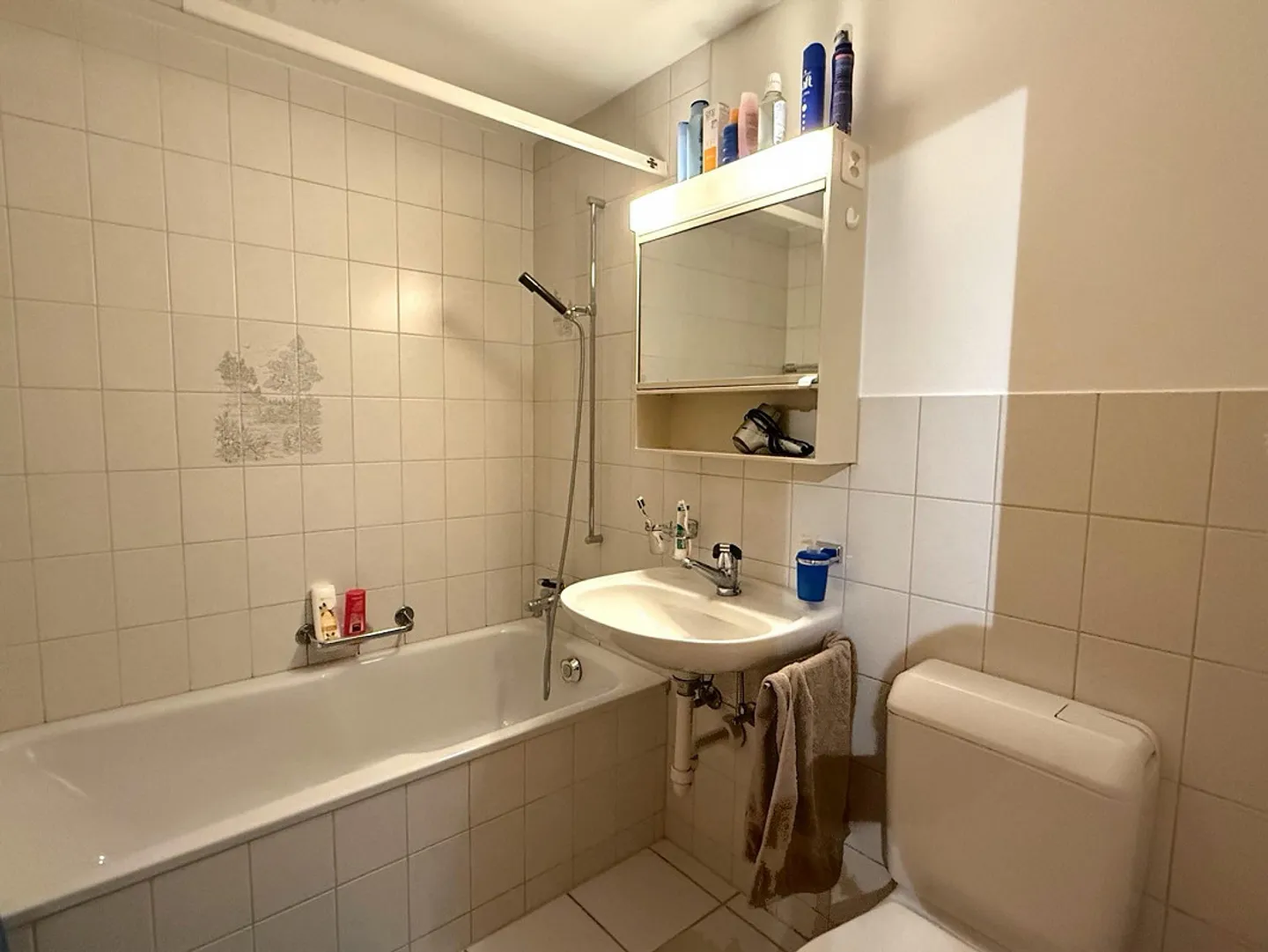 Appartement confortable de 1,5 pièce à Hallau - Photo 9 sur 10