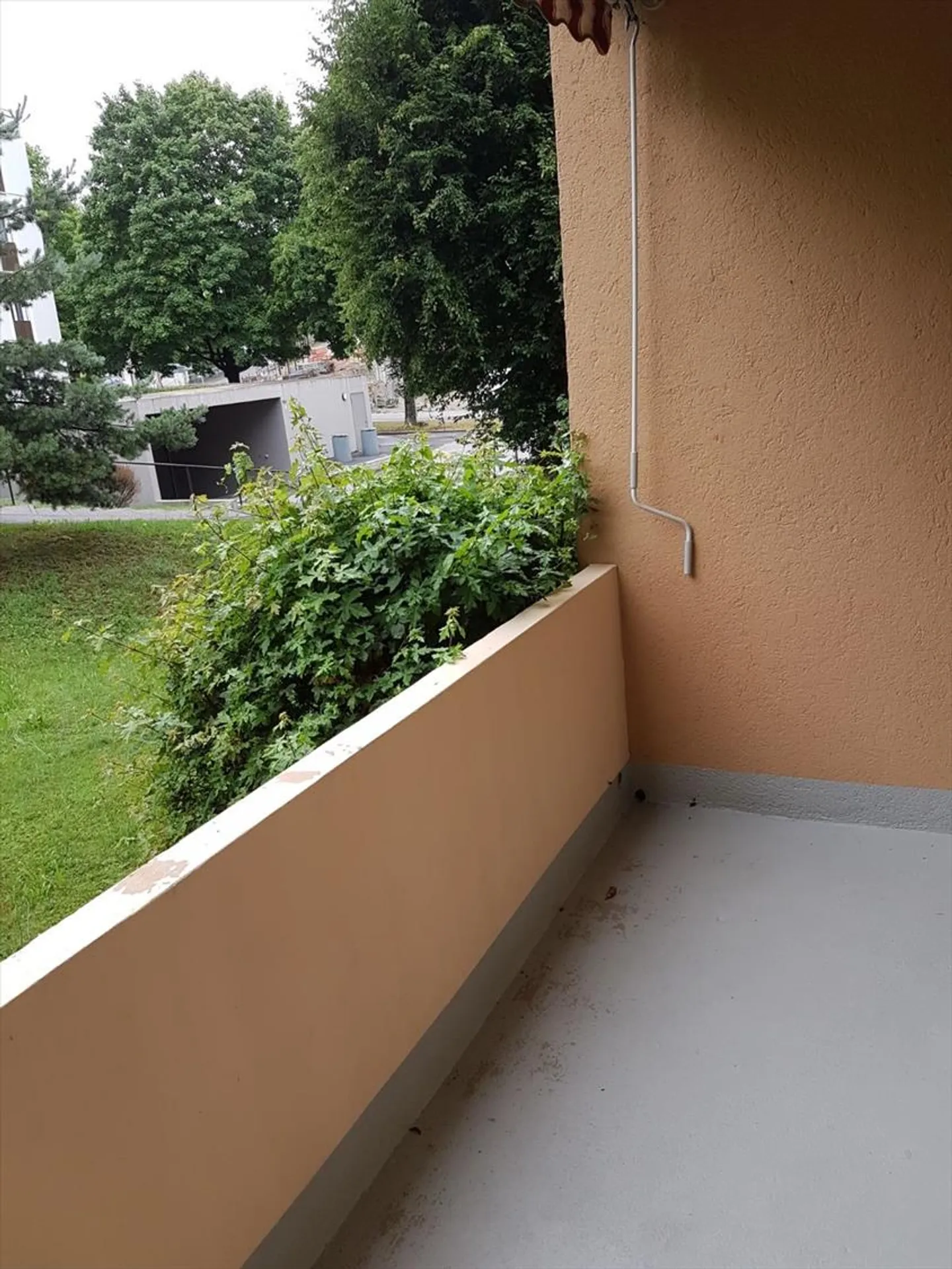 Vivere nel verde - Foto 3 di 8