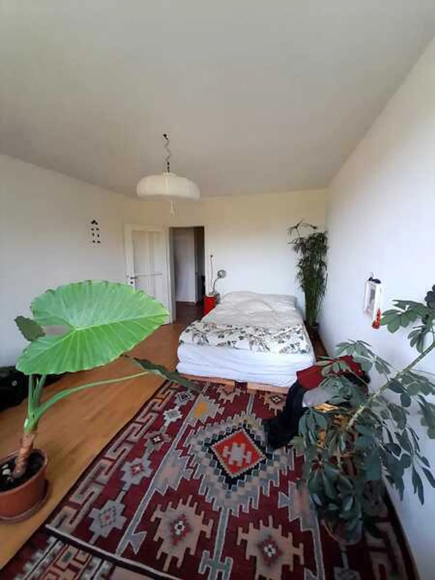 APPARTAMENTO 2 LOCALI A BASEL - ST. JOHANN, ARREDATO, TEMPORANEO - Foto 4 di 7