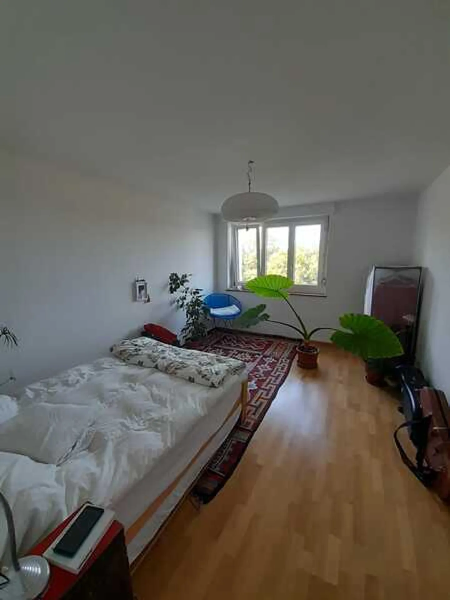 APPARTAMENTO 2 LOCALI A BASEL - ST. JOHANN, ARREDATO, TEMPORANEO - Foto 5 di 7