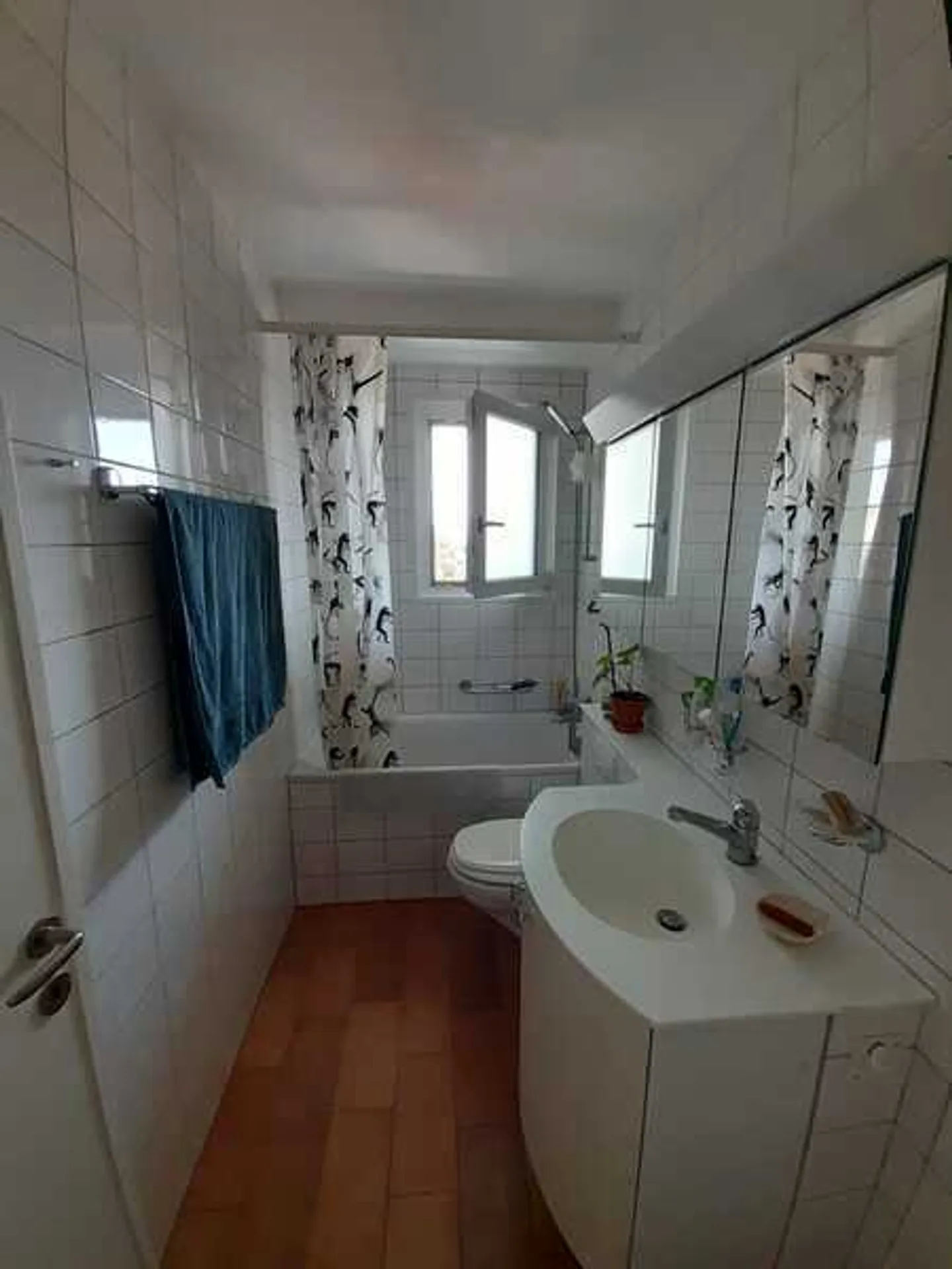 APPARTAMENTO 2 LOCALI A BASEL - ST. JOHANN, ARREDATO, TEMPORANEO - Foto 6 di 7
