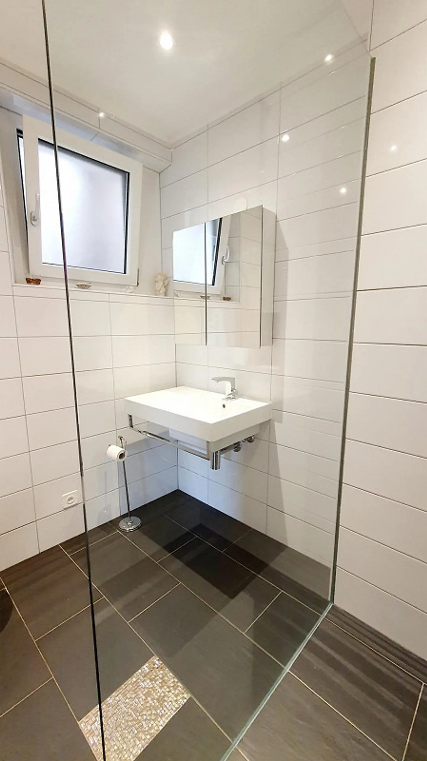 Incantevole appartamento 1.5 camere con vista lago e montagna - Foto 5 di 11