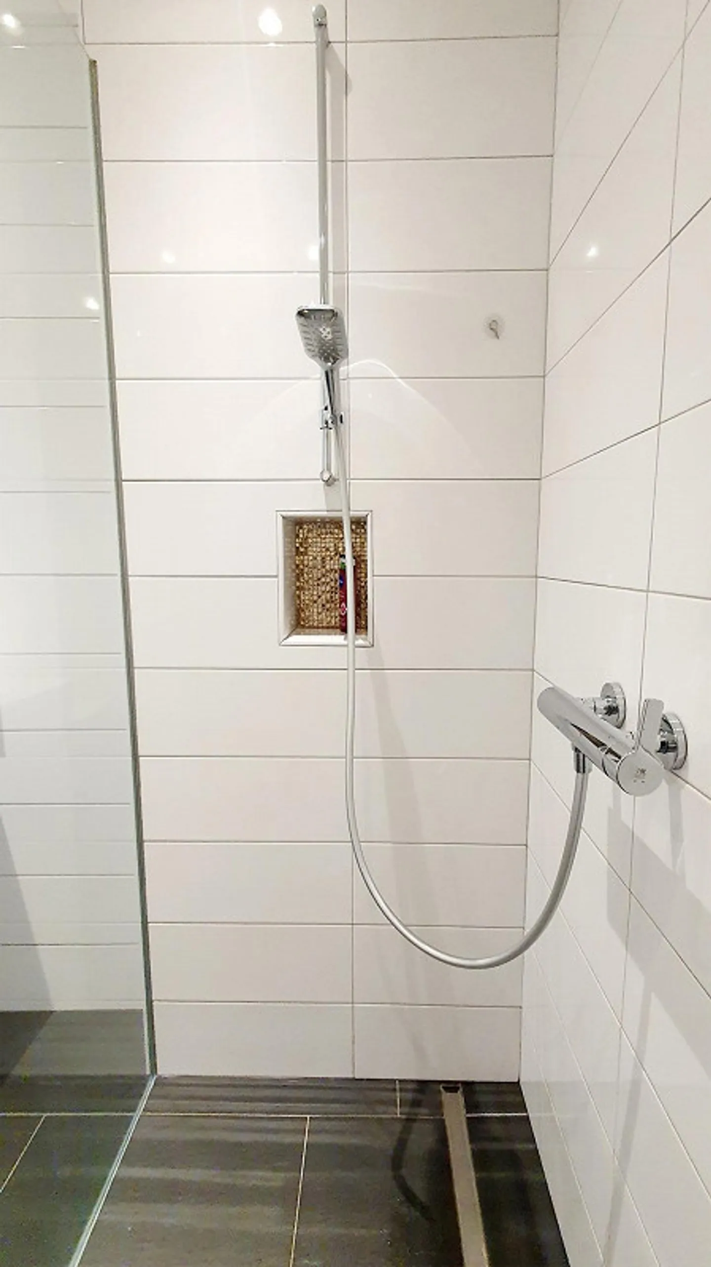 Incantevole appartamento 1.5 camere con vista lago e montagna - Foto 6 di 11