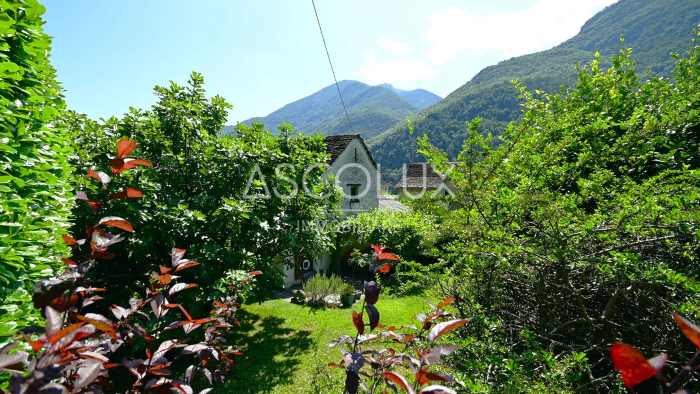 Single house for sale - Photo 5 of 13