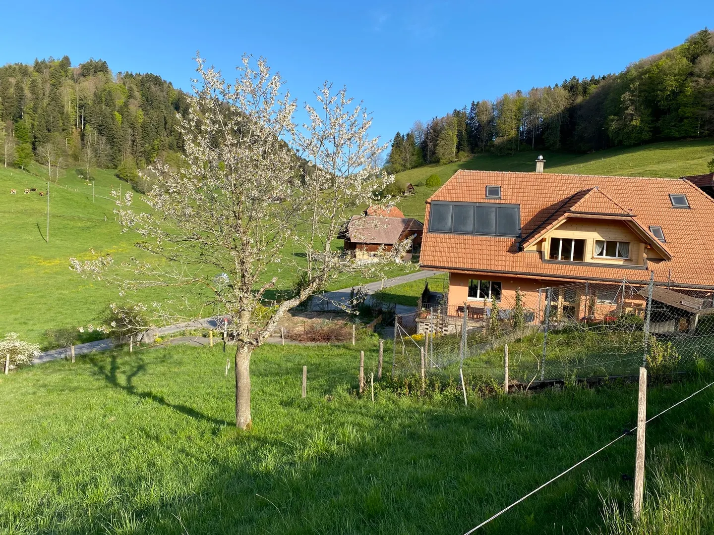 Charming Apartment in Wattenwil - Photo 10 of 10