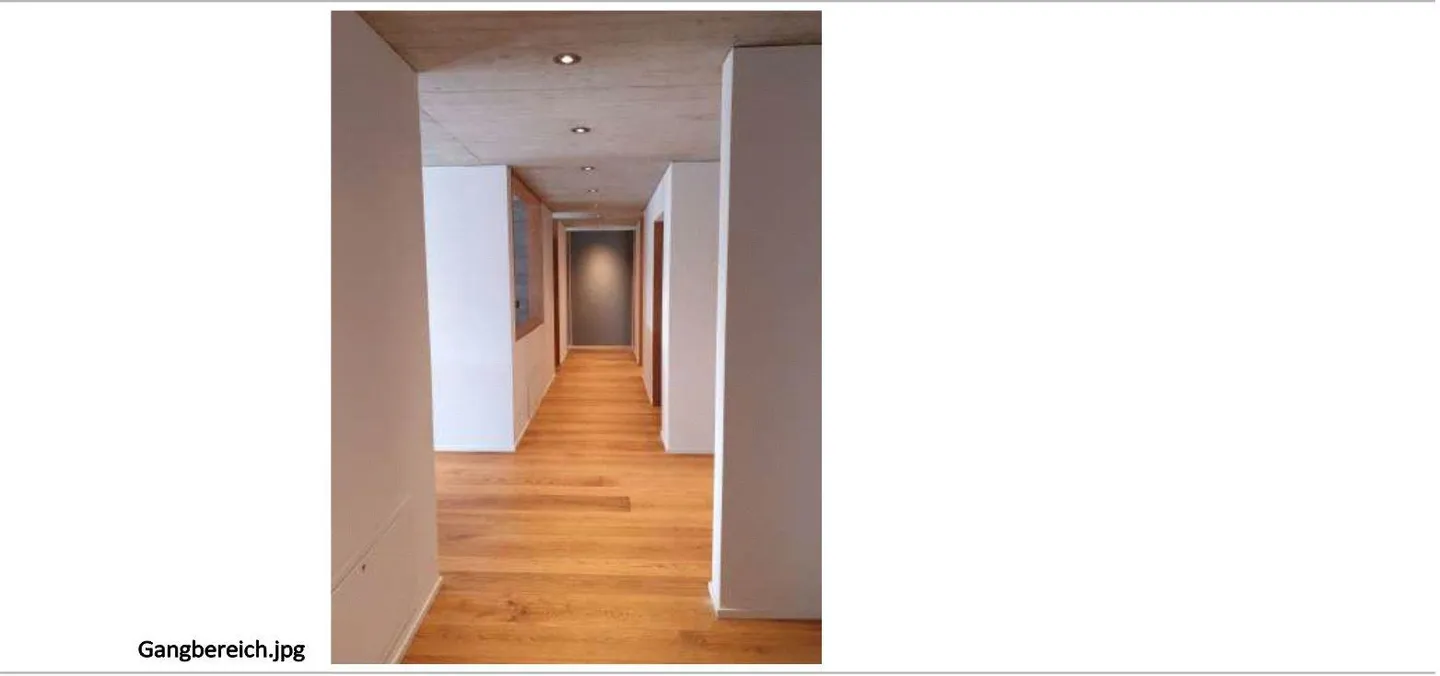 Appartement en terrasse avec vue imprenable sur l'Alpstein - Photo 8 sur 10