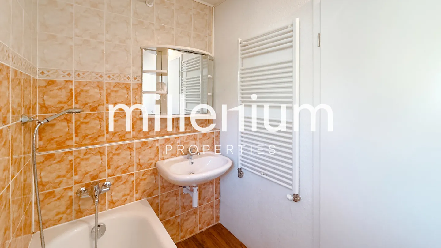 House divided into 2 apartments in the quiet of Versoix - Photo 8 of 10