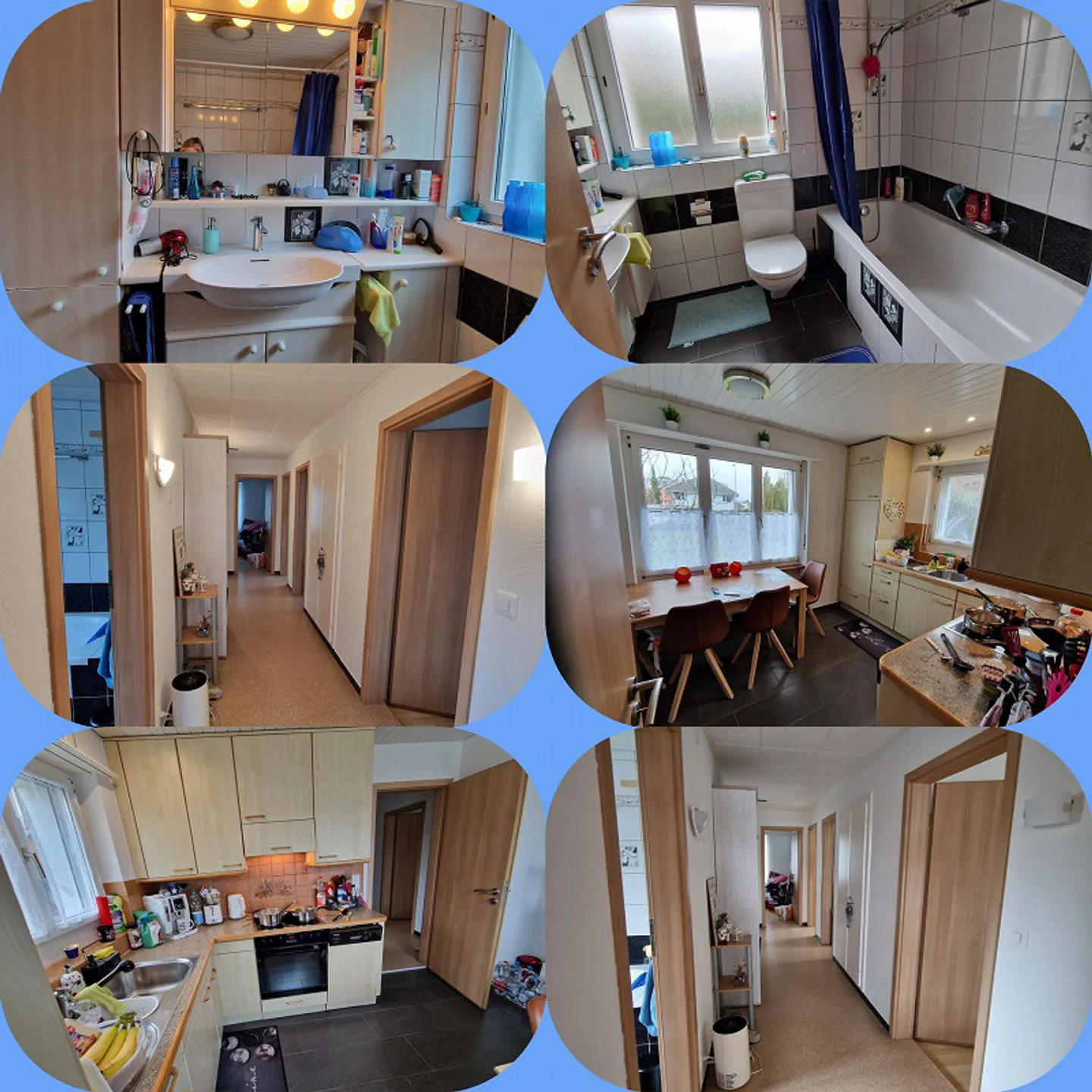 Cercasi nuovo inquilino Appartamento al piano terra con giardino - Foto 1 di 1