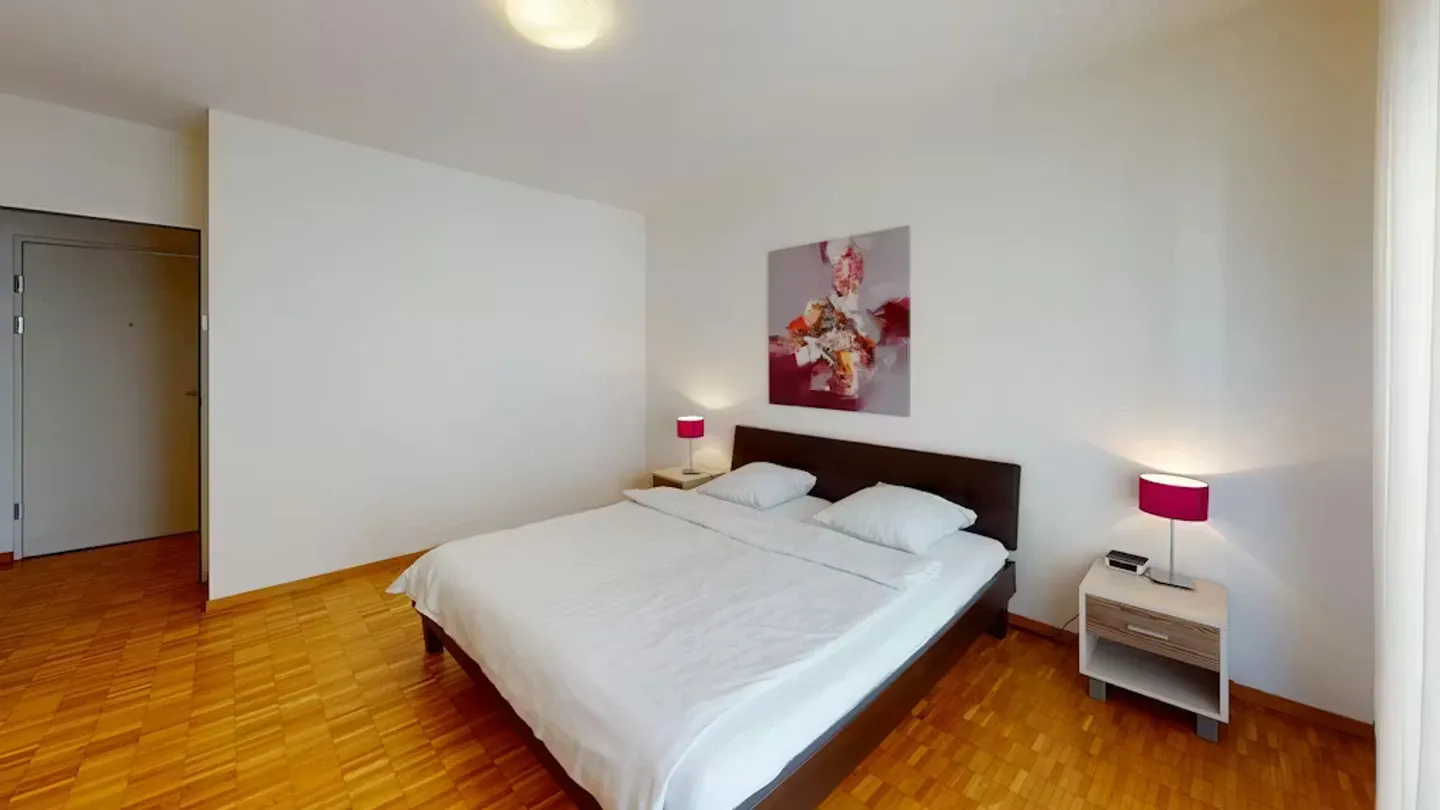 Charmante Wohnung in Basel - Foto 4 von 10