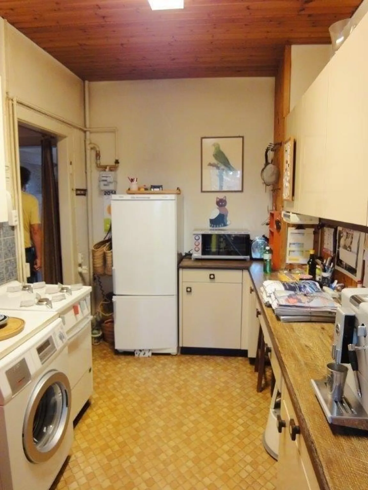 Quiet individual sought for a beautiful old apartment - Photo 2 of 4