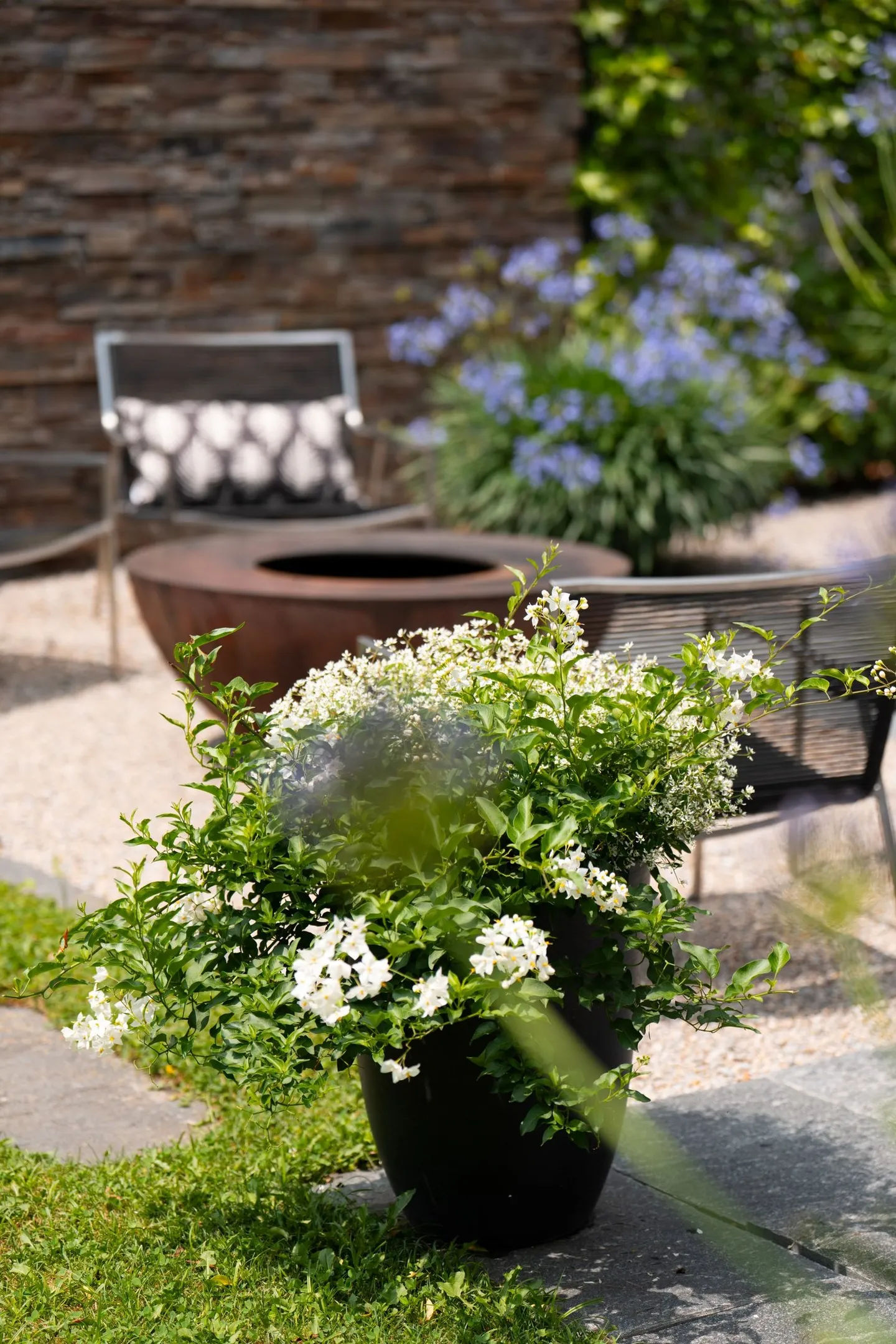 À partir du printemps/été 2026 : Maison de 6,5 pièces avec véranda et jacuzzi - Photo 6 sur 14