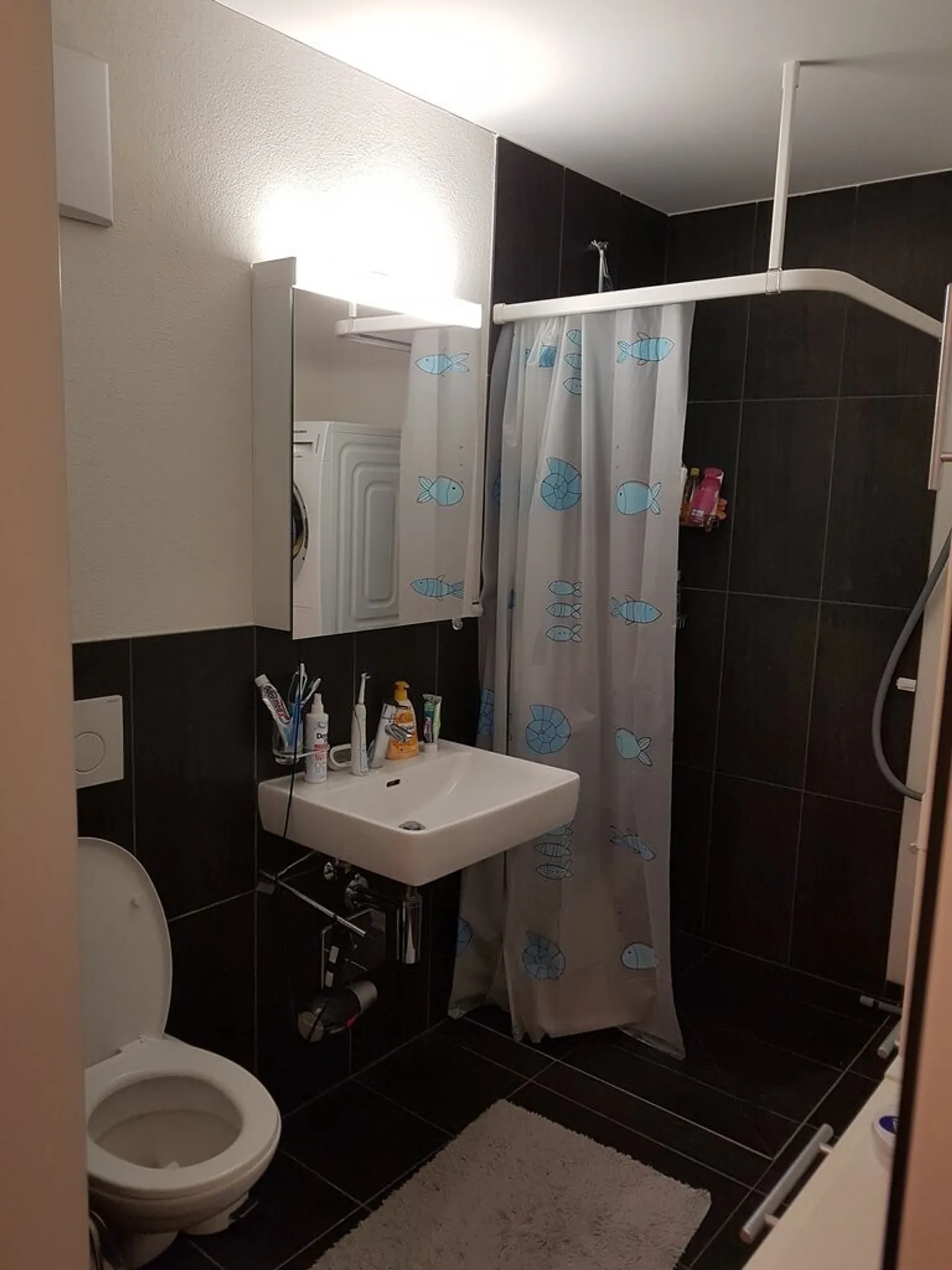 Beautiful 2.5 room apartment for rent in Maienfeld - Photo 7 of 8