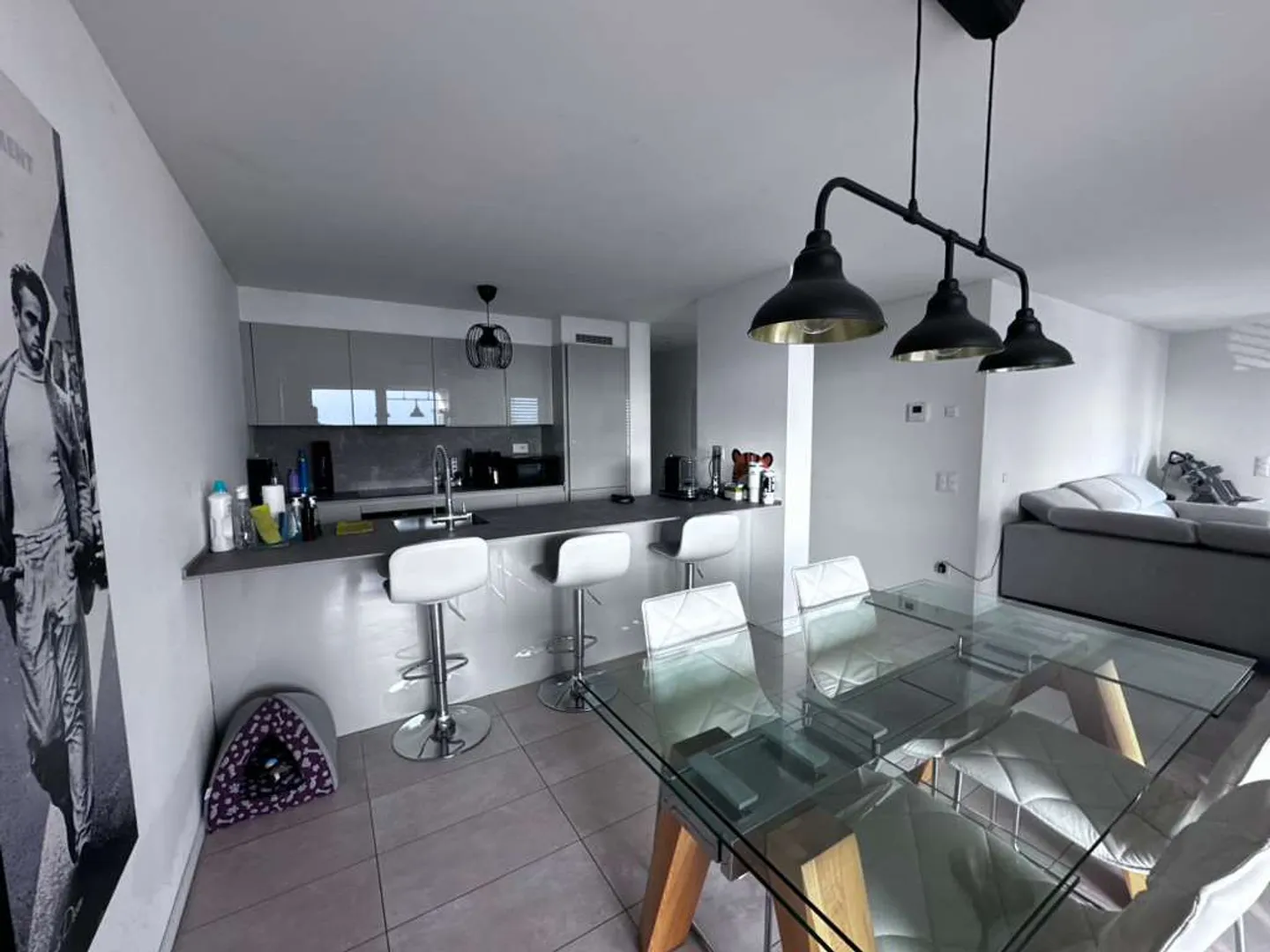 Modernes Apartment mit Terrassen - Foto 4 von 15