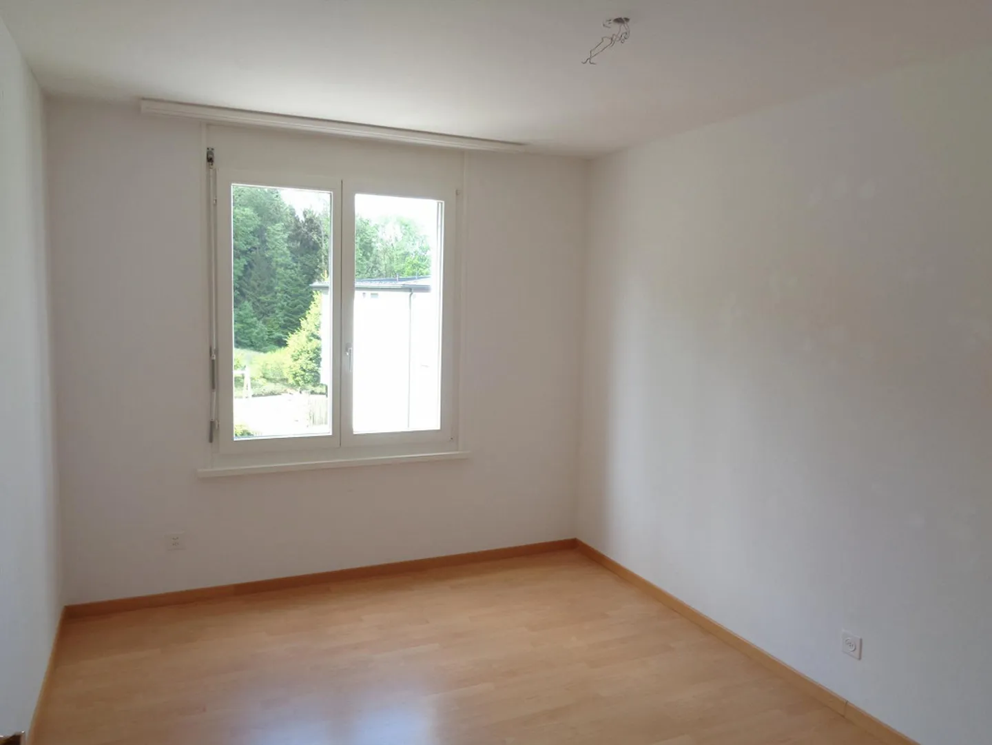 Laissez-vous convaincre... - Photo 7 sur 13