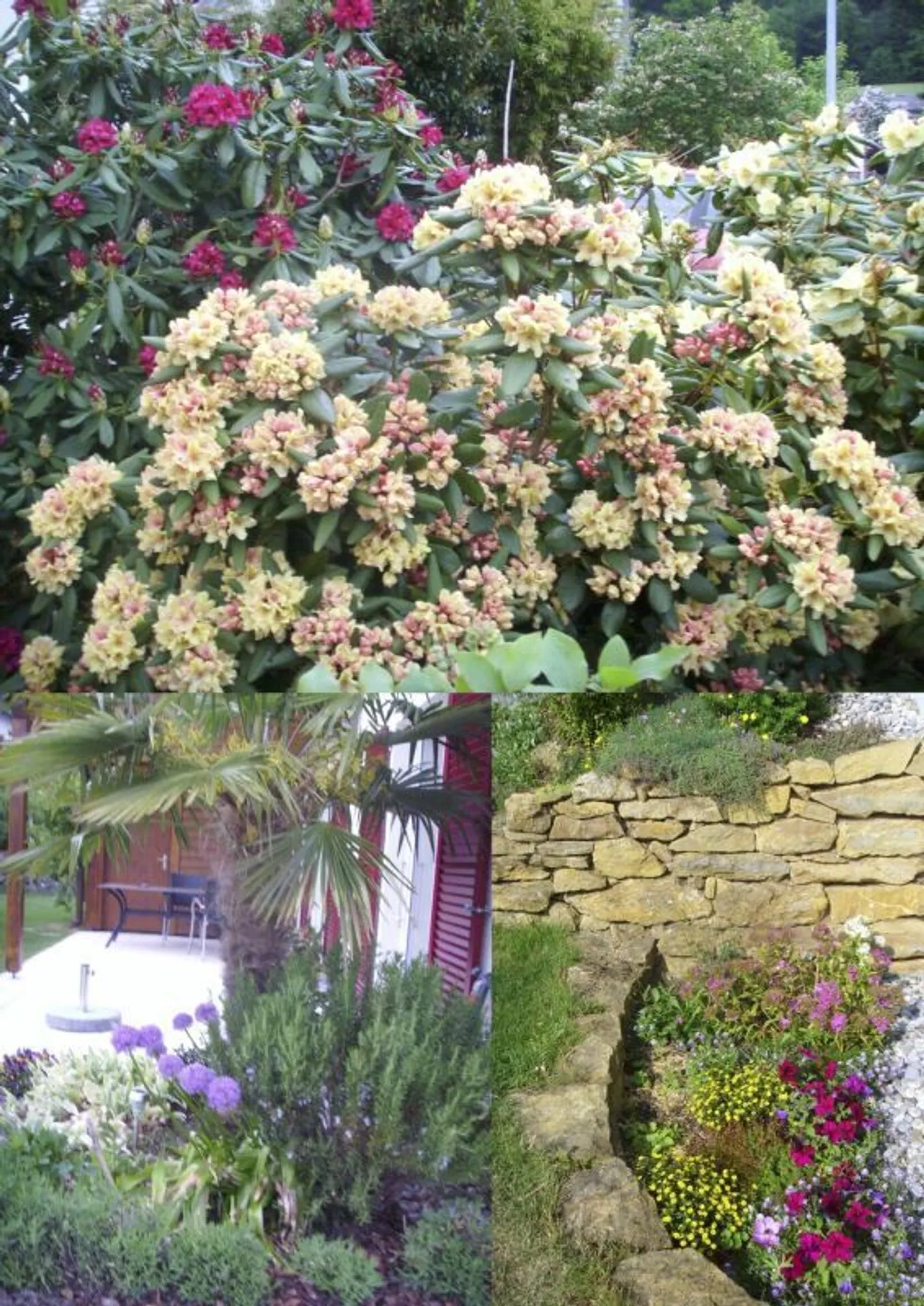 Incantevole Casa Familiare con Giardino - Foto 14 di 20