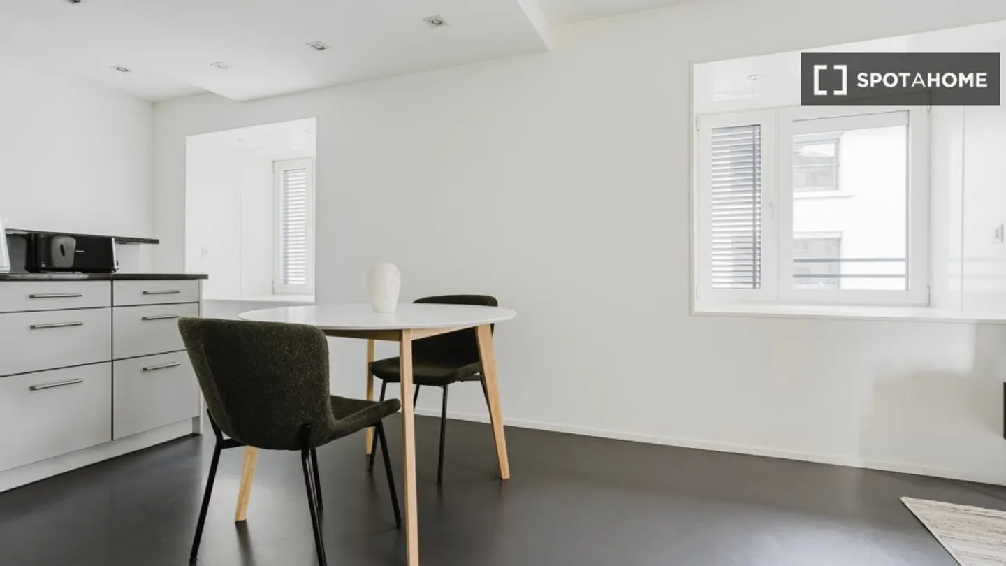 Appartement Charmant à Zurich - Photo 4 sur 13