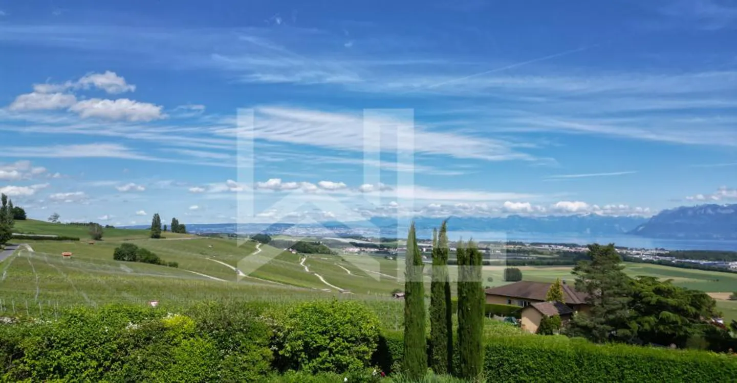 Villa with stunning views of the Coast, the Lake, and the Alps - Photo 1 of 11