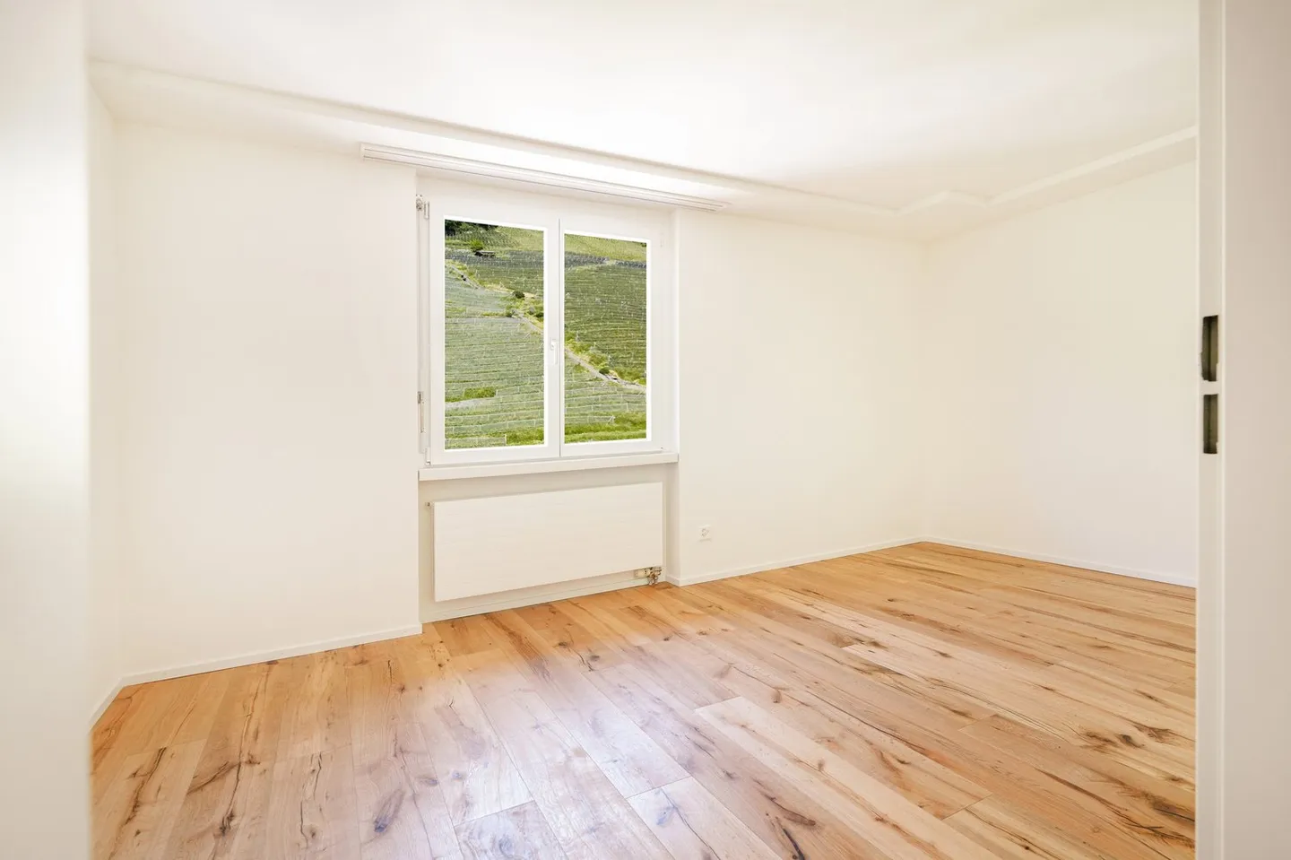 Appartamento 3.5 stanze ristrutturato e soleggiato - Foto 3 di 13