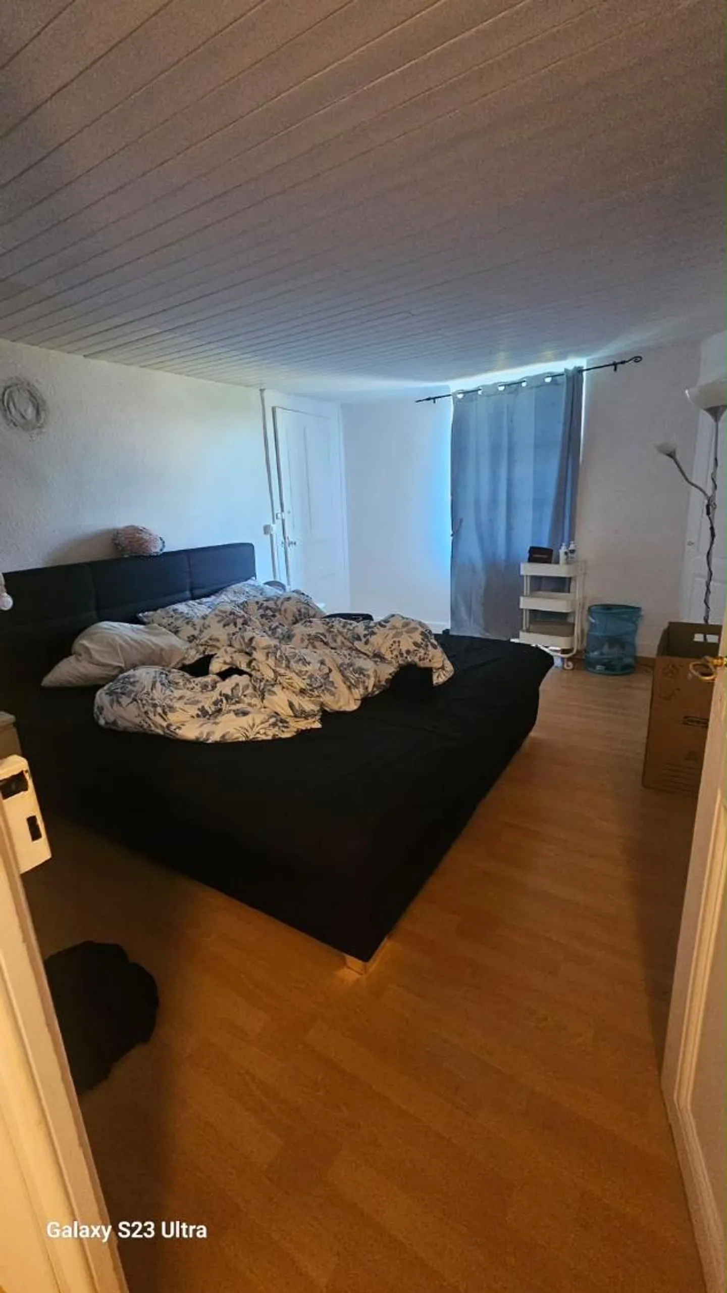 Urgently for rent: 5-room house in Satigny - Photo 12 of 14