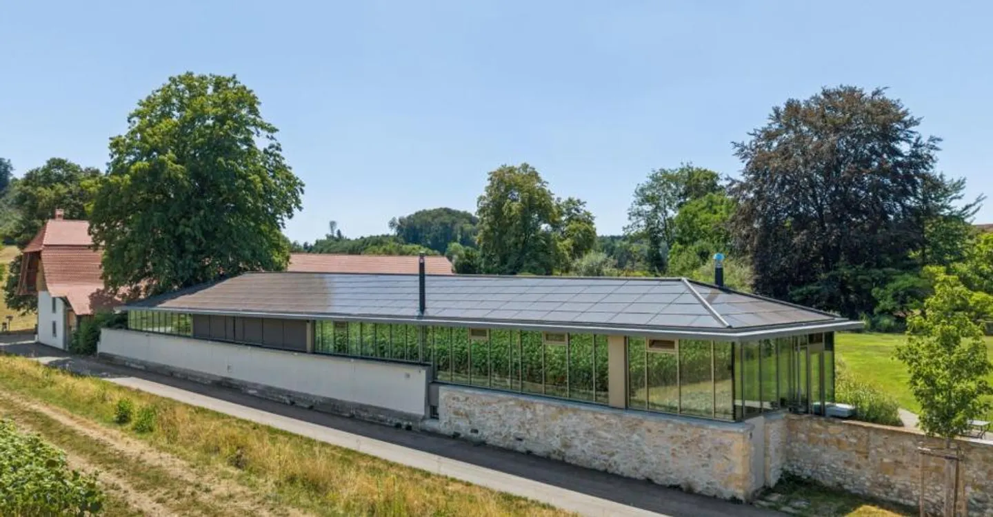 Leben im Schlosspark - Foto 2 di 13