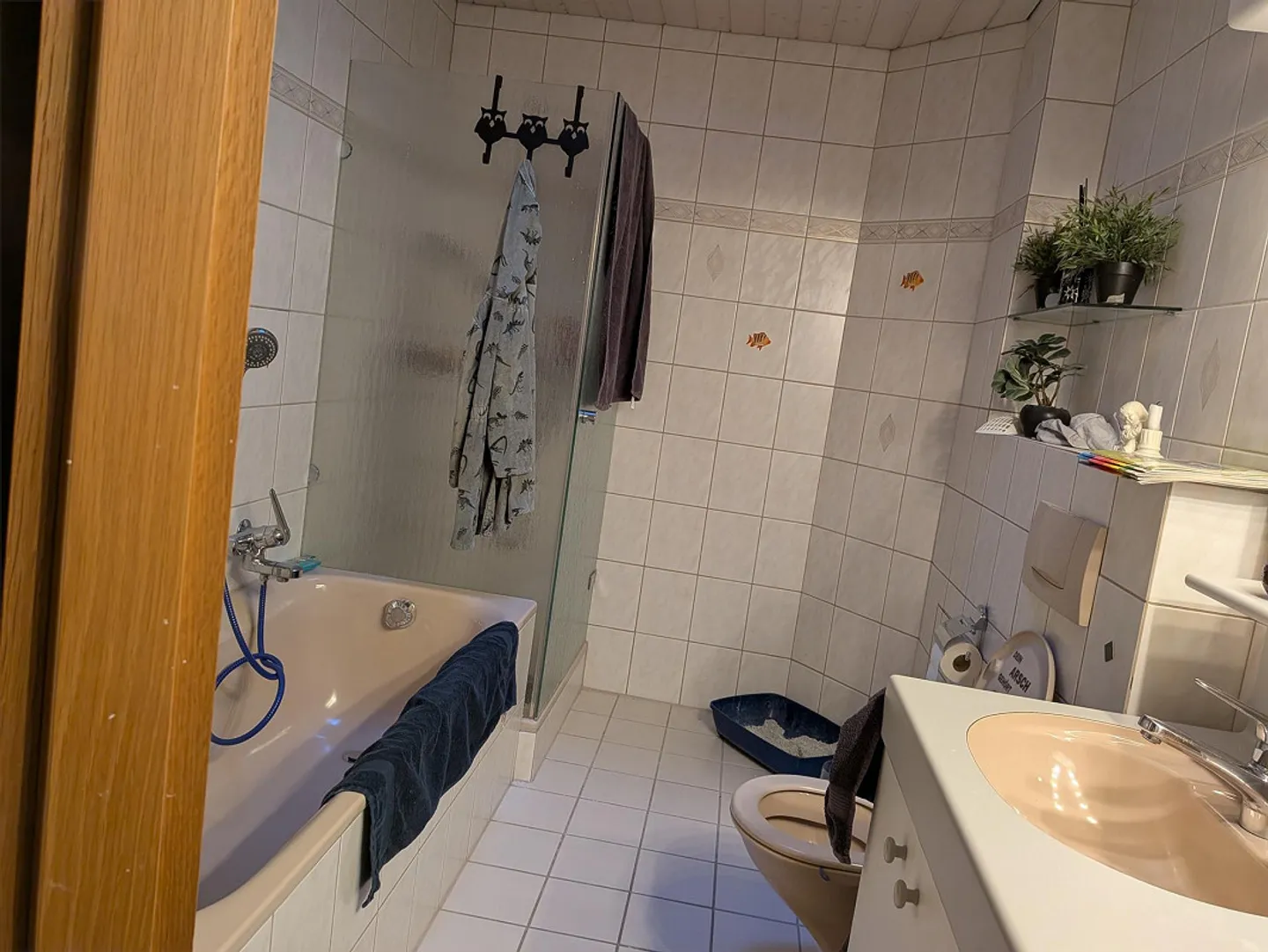 Charmante Dachwohnung in Möhlin - Foto 4 von 6