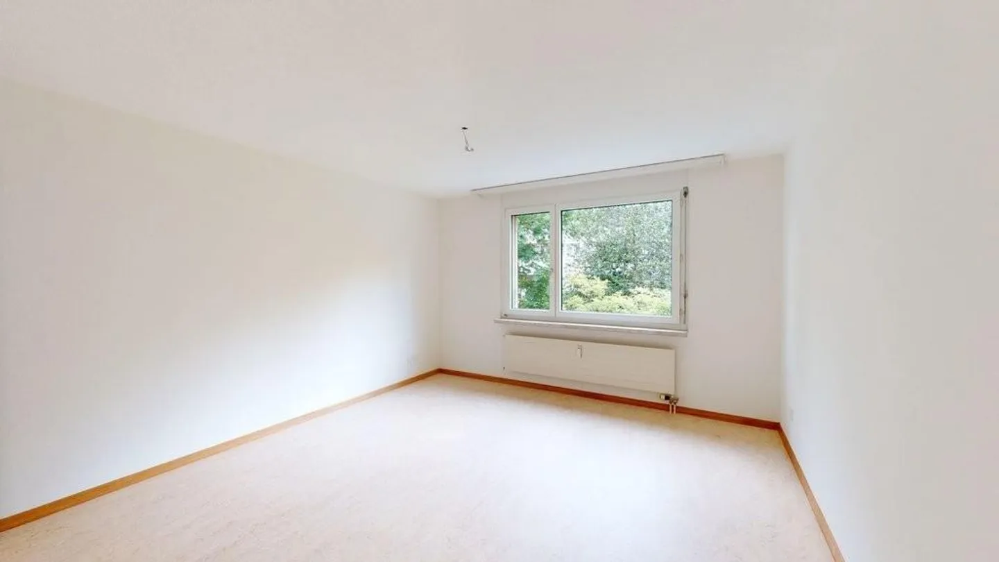 Sunny, in the city, by the lake - Photo 6 of 11